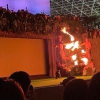 東北のハワイ🌺福島いわきでプロのフラダンスショーを鑑賞