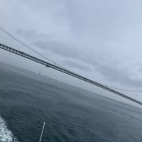 海の上から。