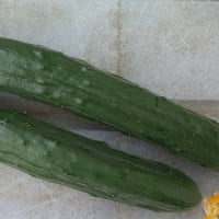 6月21日・給水キャップ！