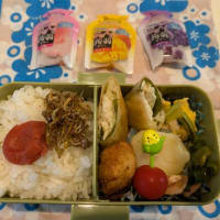６月１７日のお弁当＆昨日の晩御飯
