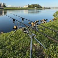 4月24日の鯉釣り