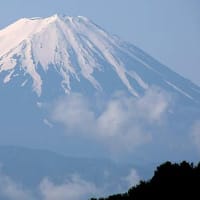 富士山世界遺産に登録