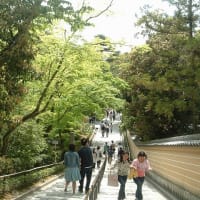 06/26奈良京都への旅-14（金閣寺、）