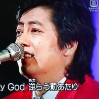お久しぶり 冬蔵さん Saoの猫日和 お久しぶり 冬蔵さん Saoの猫日和