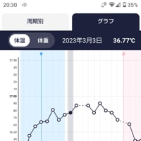 基礎体温を測りはじめる