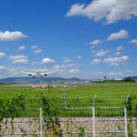 猛暑の千里川土手にて