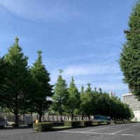 ☆金曜定例　官邸前スタンディング