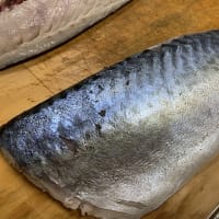 アジの刺身とイトヨリの炙り ジギング ブルース アジの刺身とイトヨリの炙り ジギング ブルース