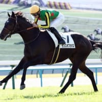 第30回 ＮＨＫマイルカップ