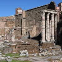 古代ローマ時代の遺跡「Foro Romano（フォロ・ロマーノ）」を歩く