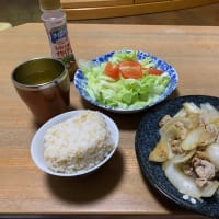 豚生姜焼きで休肝日