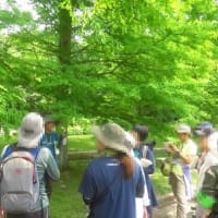 6月、ある休日のあれこれ（4）