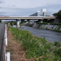 2024神奈川河川ﾎﾟﾀﾘﾝｸﾞ『玉川』②戸沢橋～恩曽川と合流
