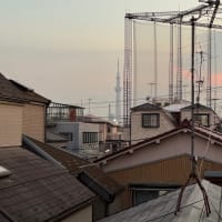 2025/6/30の夕焼け