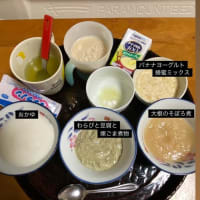 6ヶ月ぶりのわが家