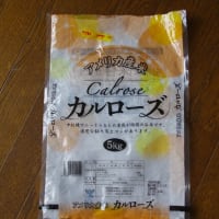 250620 後期高齢者特定健診、メタボ健診異常なし？！、カリフォルニア米、結構いけます！天満宮のアジサイ手水舎！！