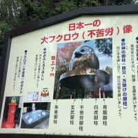 鷲子（とりのこ）山上神社