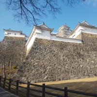 RYOU散歩 姫路城へ(´- `*)