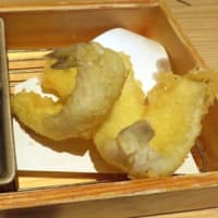 両国の寿司居酒屋「杉玉」は2時間の時間制限付きの人気店らしい旨さだった。