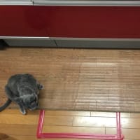 ソーシャルディスタンス