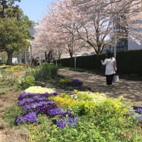 東京ミッドタウン