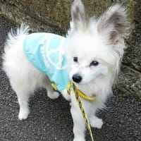怖くないよ、大丈夫😊
