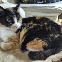 近年稀にみる不整合(；ﾟДﾟ)