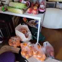 母が持ってきたものは…