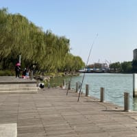 金鶏湖1周の旅