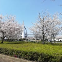 花見ーその２