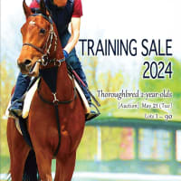 【HBAトレーニングセール2024(HBA Training Sale)】は本日開催(Am9時から公開調教スタート)