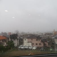 戻り梅雨ではないらしい