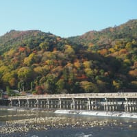 京都・嵐山　紅葉シーズン前の「宣言解除」に期待膨らむ