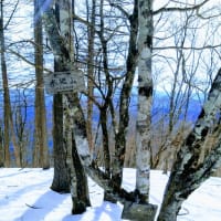 石尾根縦走　鷹ノ巣山