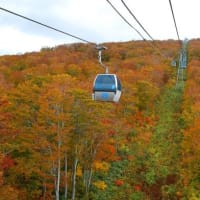 秋田の紅葉　　　　　　～星空掲示板～