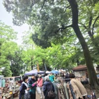 2025/5/10 雨上がりマーケット無事終了しました