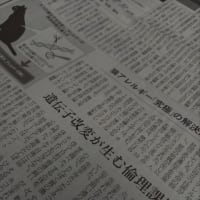 新聞よんでます