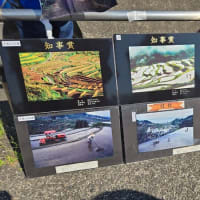 【2025大分－大宮】トリニータの歴史を知れば熱中症対策ができる大分トリニータのホームスタジアム