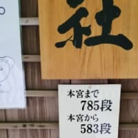 初めての腰痛