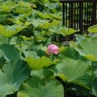 7/7おつかれさまでした。。。