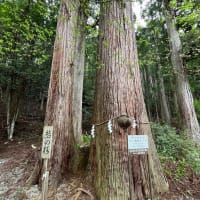 美山かやぶきの里