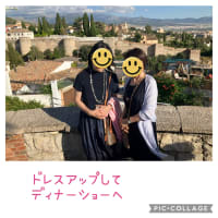 スペイン紀行⑦水道橋とフラメンコショー