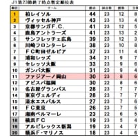 初のＪ１で奮闘する今季のファジ！　これまでを振り返る！！