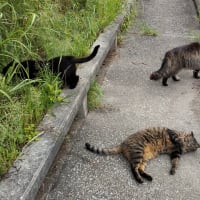 それぞれ。