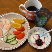 7月11日（金）歯科検診と夕食作り