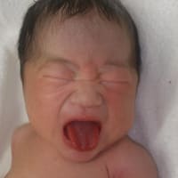 誕生＼(^o^)／