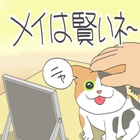 「メイは分かってる」