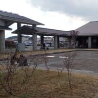 24春季全国上演順