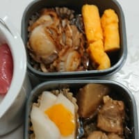 冷蔵庫の掃除弁当
