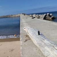 東通村の野牛のレストハウスと石持の北部海岸